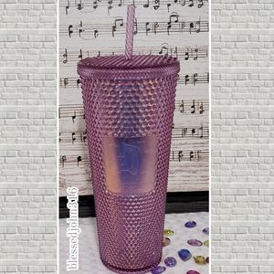 Starbucks Disney Resort Tumbler